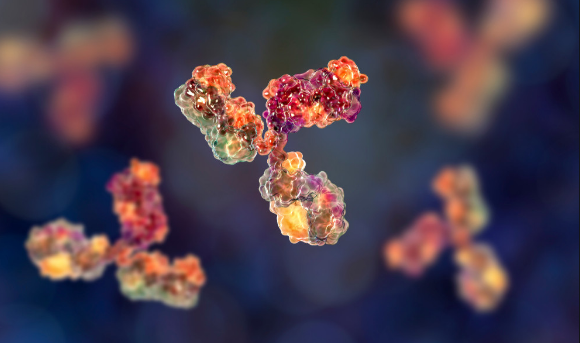 5 Key Factors In Antibody Production